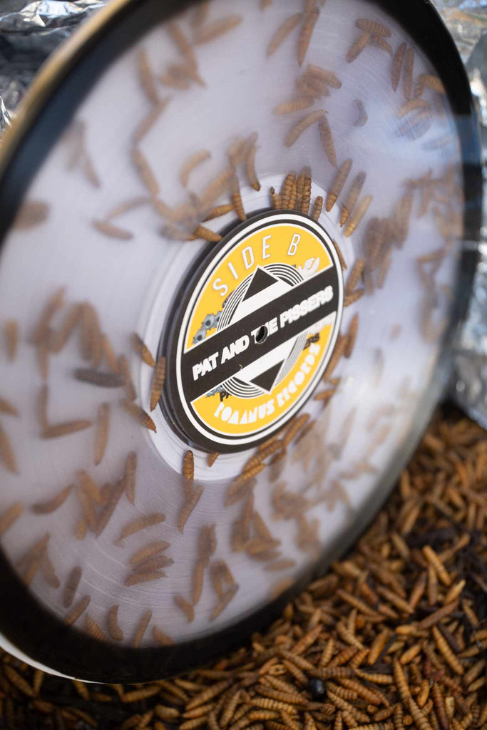 Pat & The Pissers SOIL/America's Dream MAGGOT FILLED/50 romanusrecords